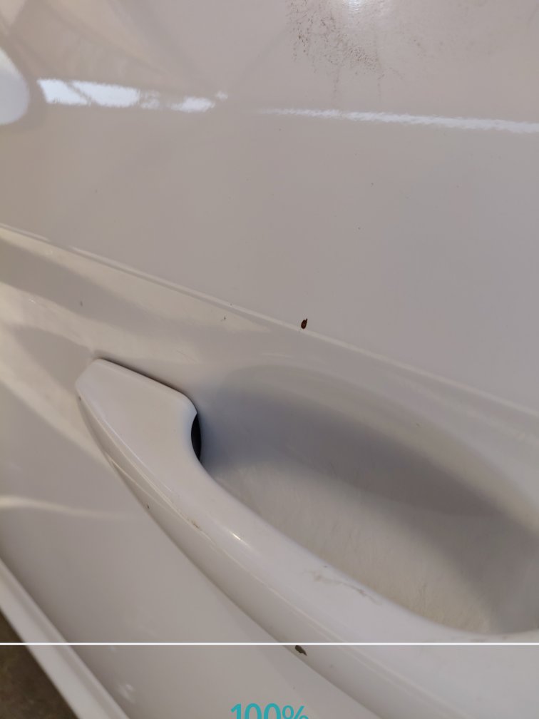 هيونداي إلنترا FLEET 2018 image