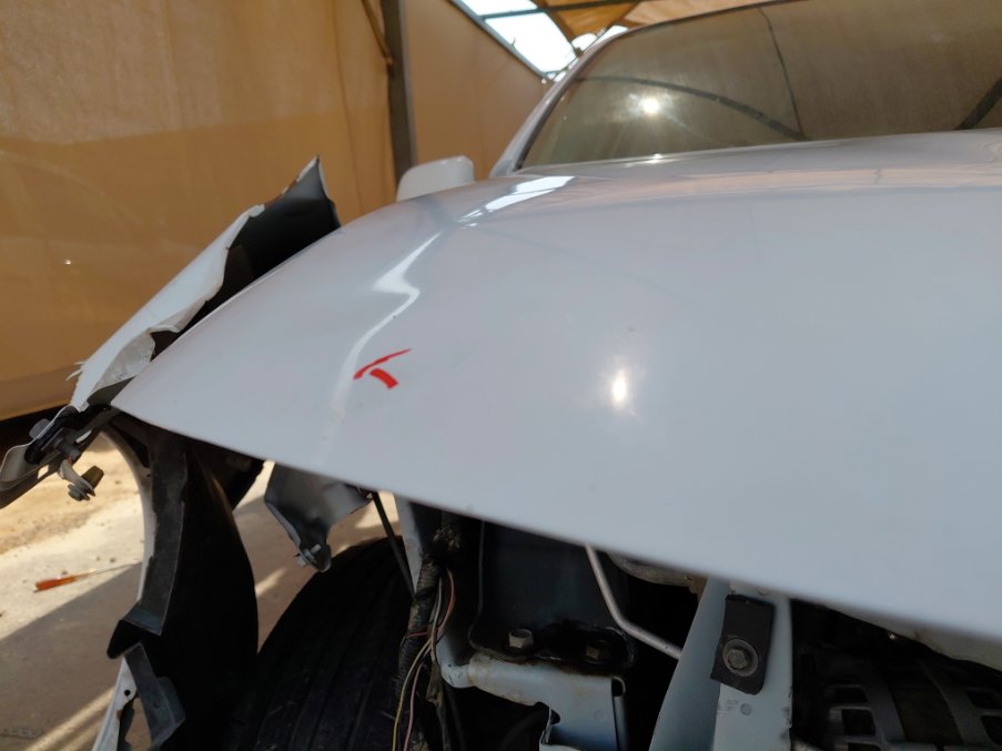 نيسان صني FLEET 2022 image