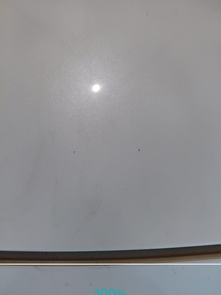 كيا ريو LX 2021 image