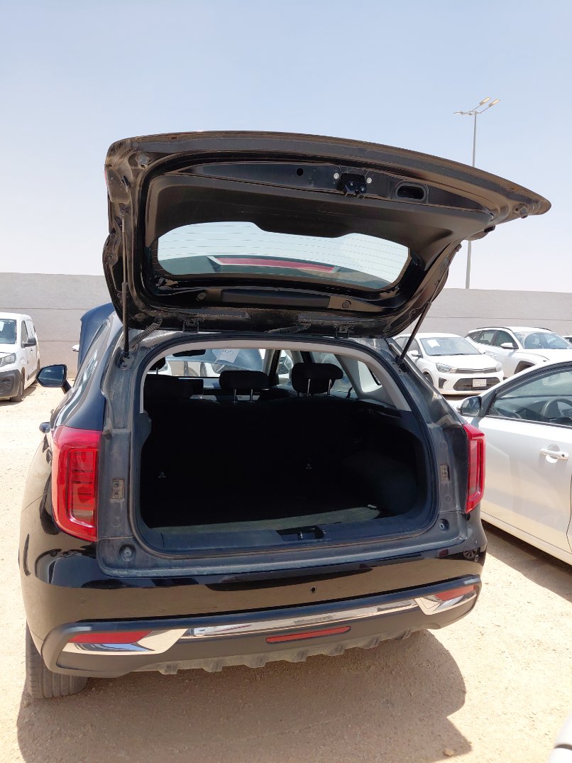هافال جوليان  2023 image