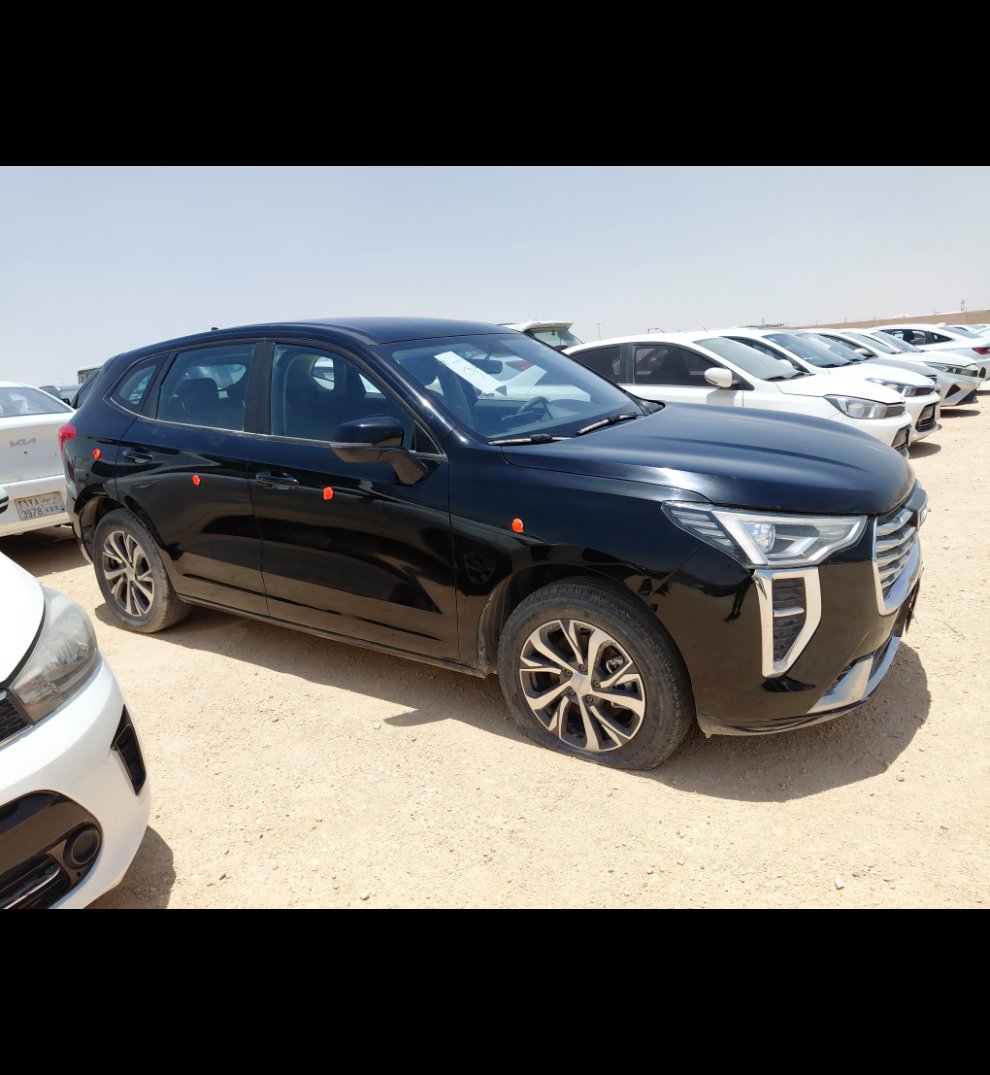 هافال جوليان  2023 image
