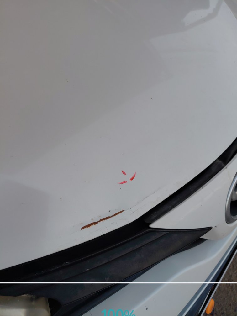 Toyota Yaris Y 2019 image