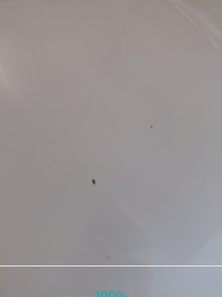Toyota Yaris Y 2019 image