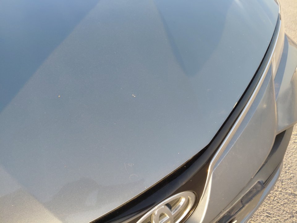 Toyota Corolla XLI EXECUTIVE M/R  2021 image