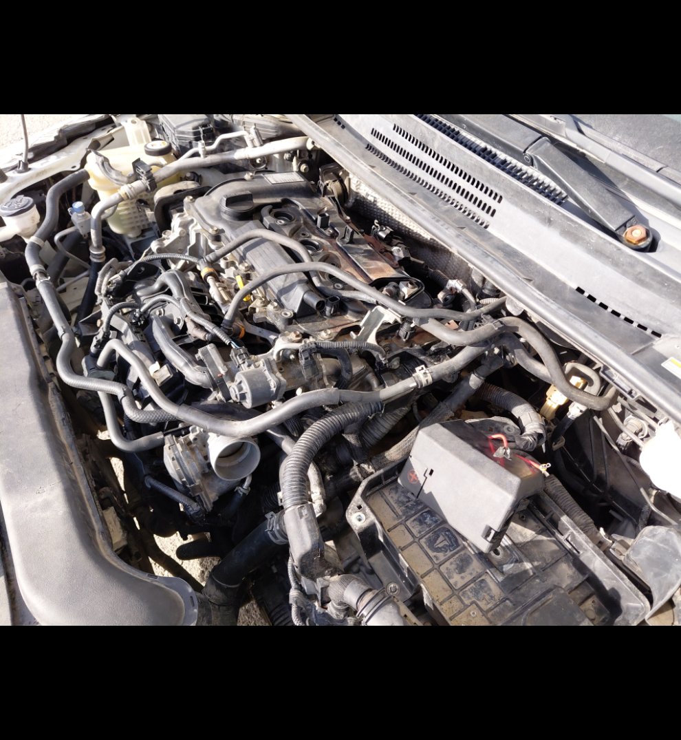 Toyota Corolla GLI M/R  2021 image