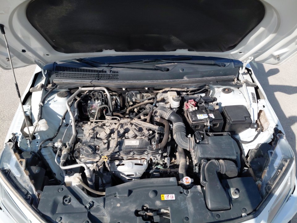 Toyota Yaris Y PLUS 2023 image