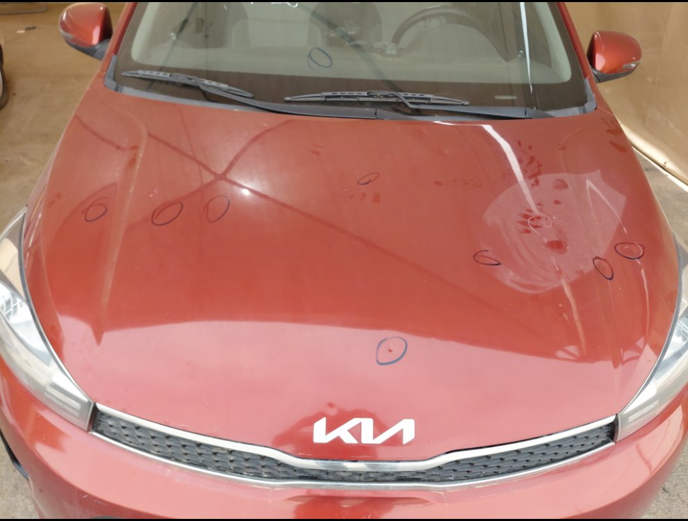 KIA Pegas LX 2022 image