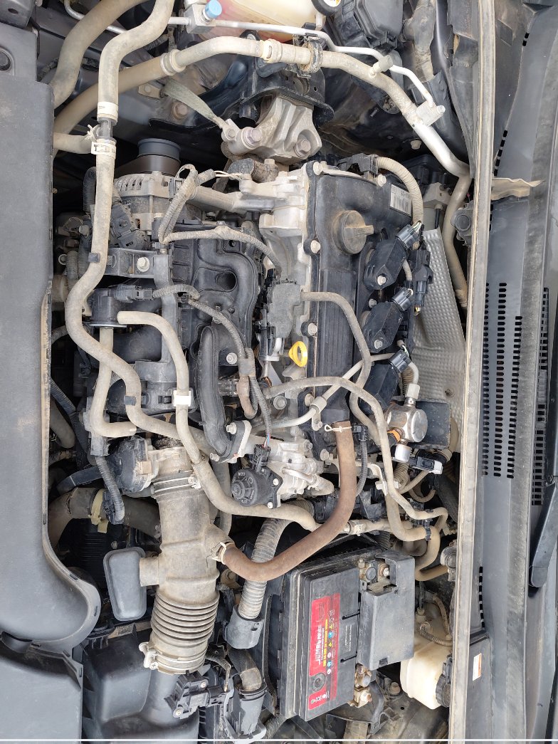 Toyota Corolla XLI EXECUTIVE M/R  2021 image
