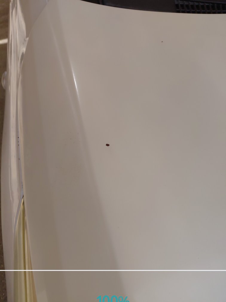 تويوتا يارس Y 2019 image