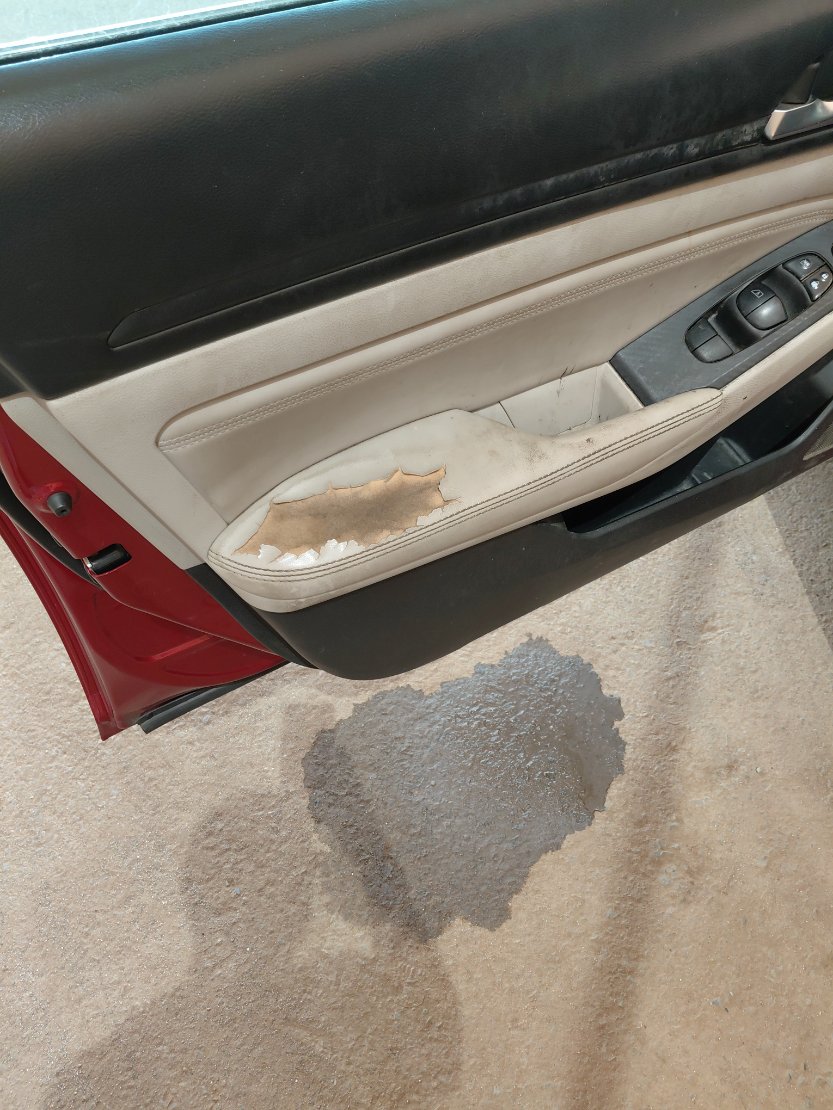 Nissan Altima اس 2020 image