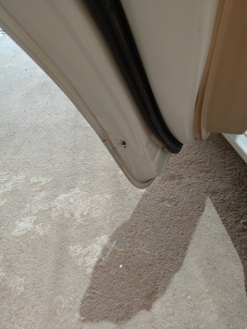 Toyota Yaris Y 2019 image