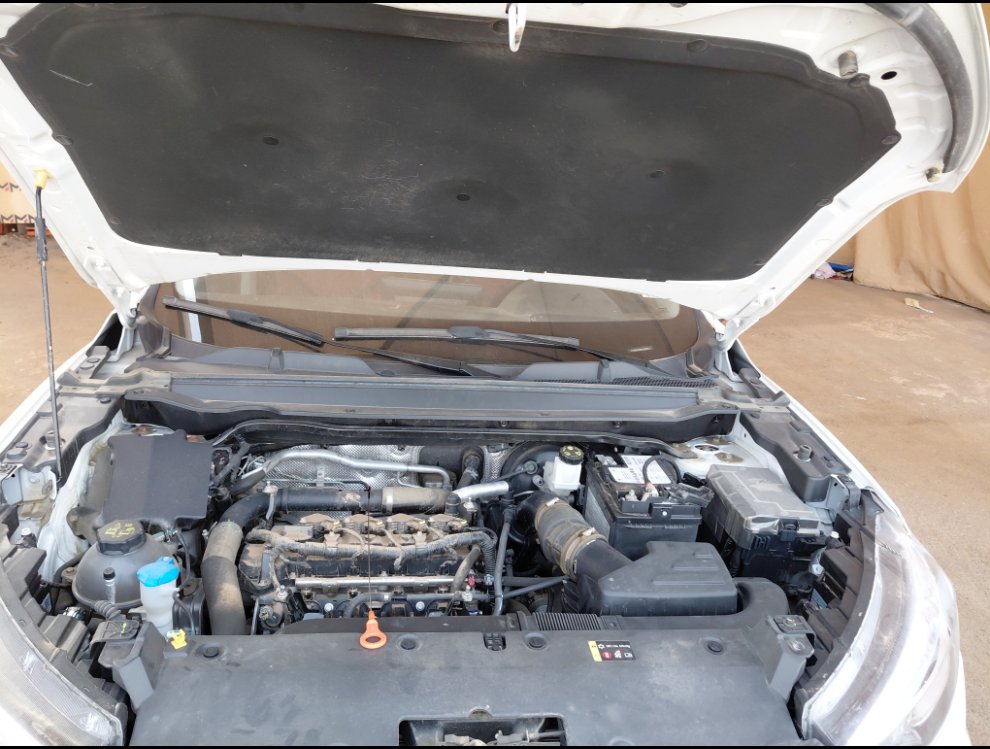 هافال جوليان اساسي رياضية  2025 image