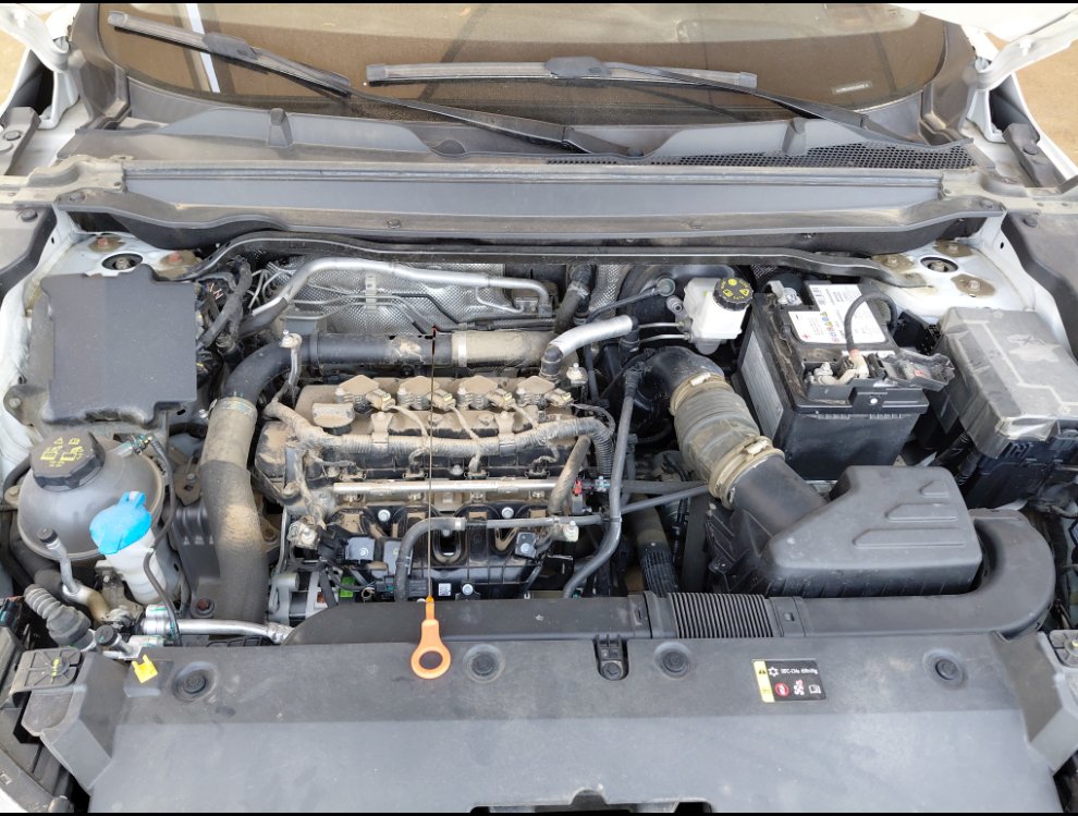 هافال جوليان اساسي رياضية  2025 image