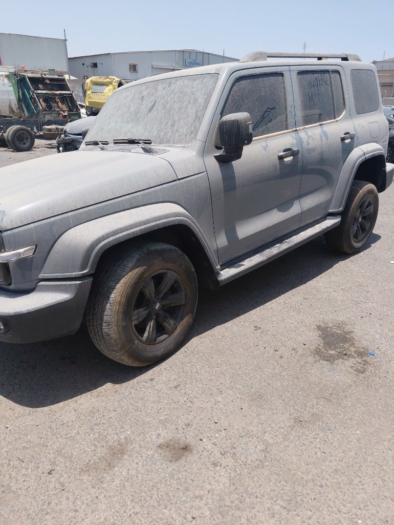 تانك 300  2025 image