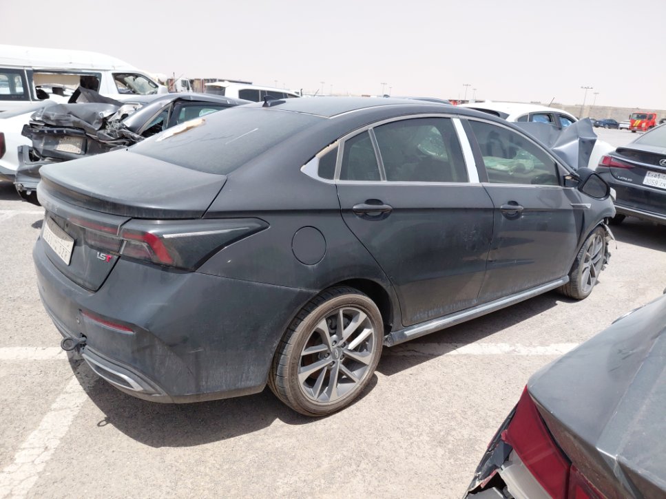 شيري أريزو 6  2023 image