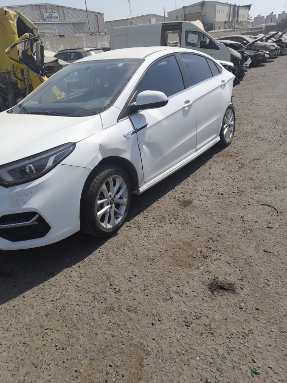 شيري أريزو 6  2024 image