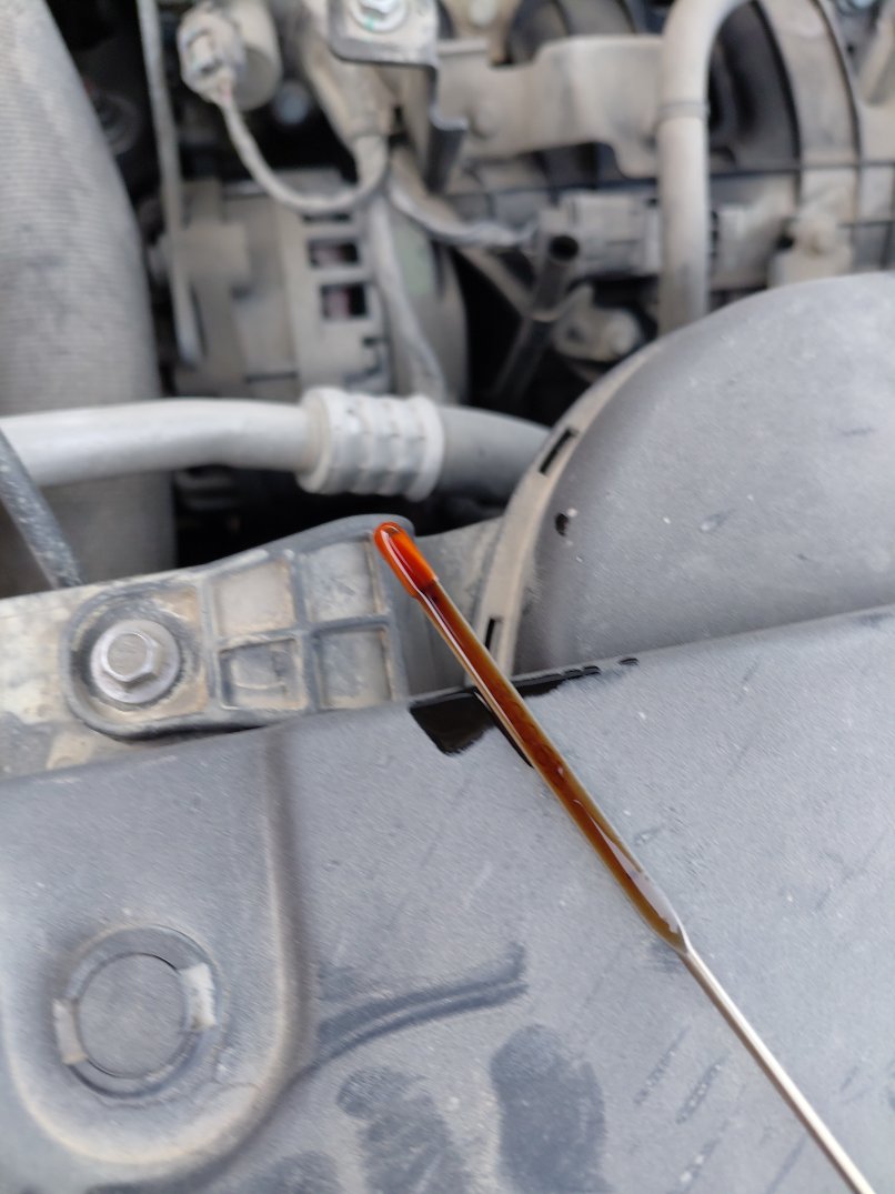 Haval Jolion  2023 image