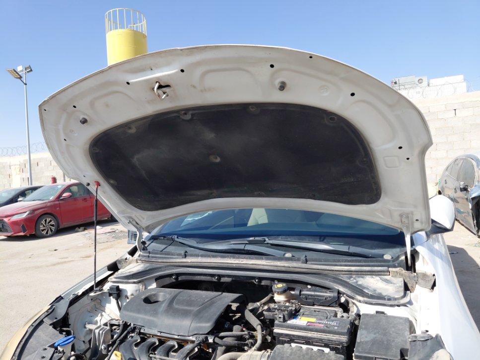 هيونداي إلنترا FLEET 2019 image