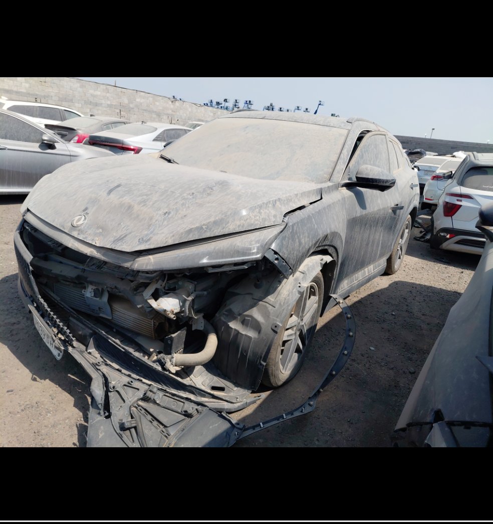 دونغ فينغ E32  2025 image