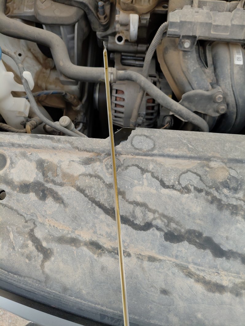 كيا سبورتاج NQ5E LX 4WD 2024 image