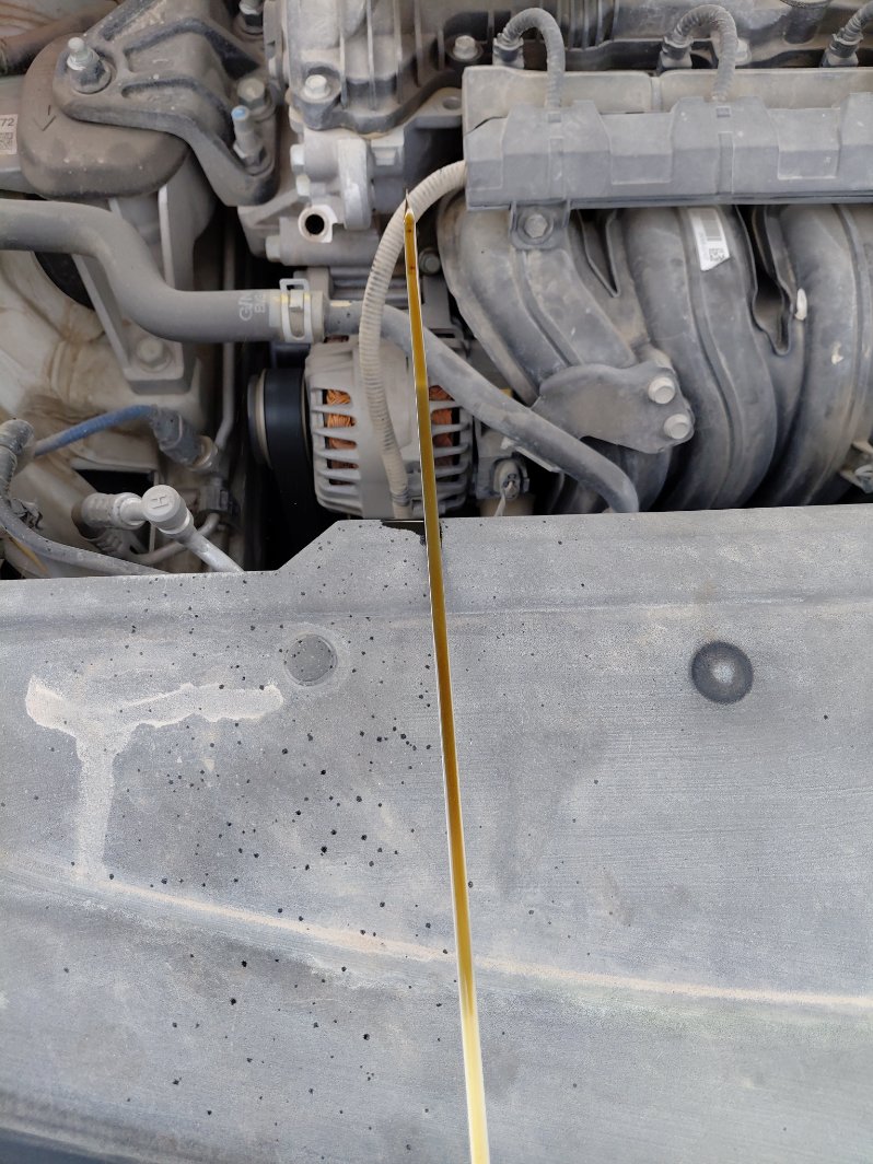 كيا سبورتاج NQ5E LX 4WD 2023 image