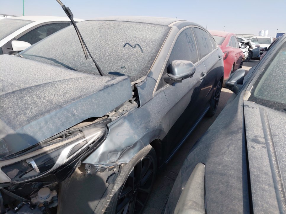 شيري أريزو 6  2020 image