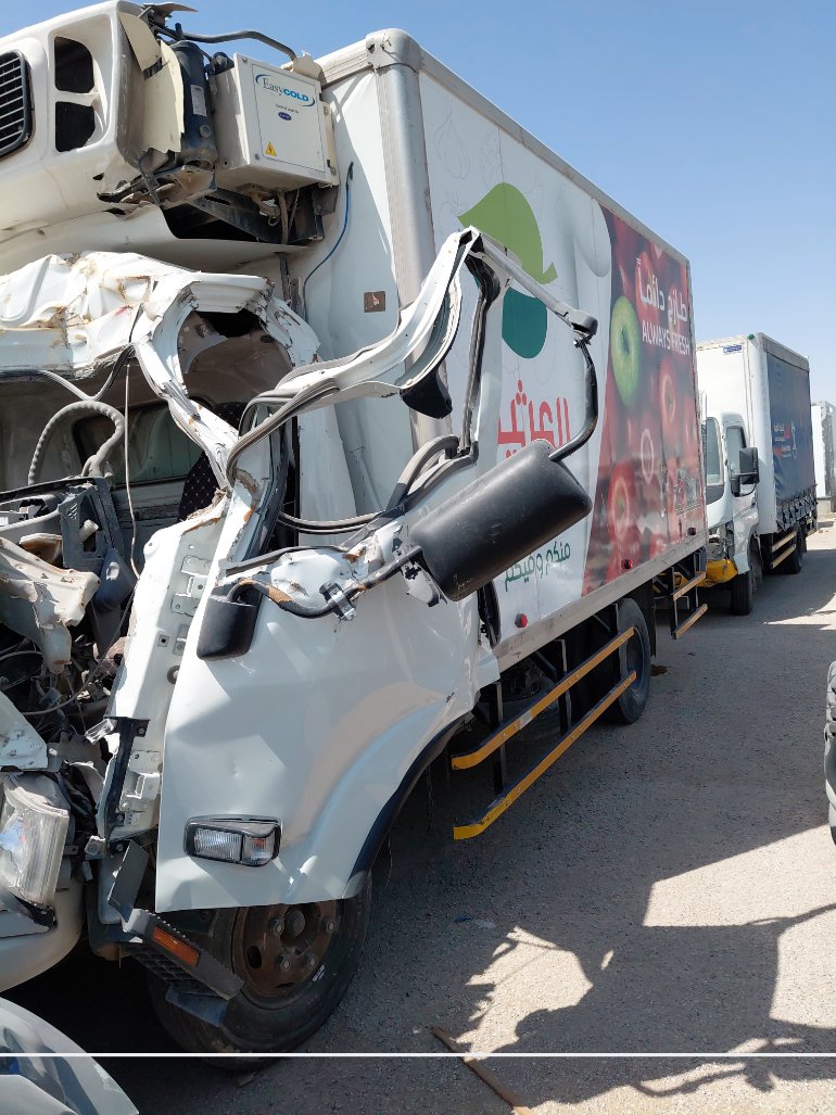ايسوزو ديينا  2014 image