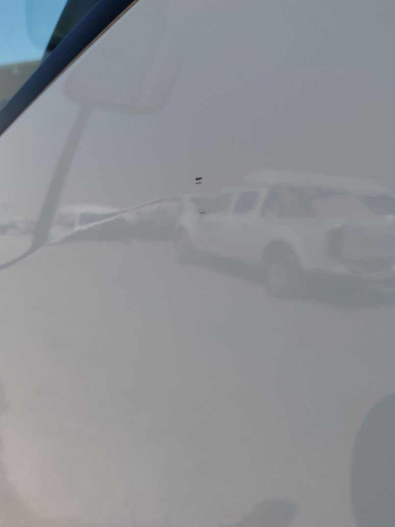 Isuzu Reward NP مبردة 4.95  طن 2024 image