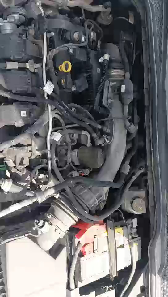 Ford Taurus  2023 video