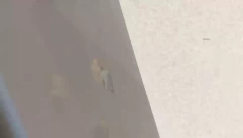 KIA Pegas LX 2022 video