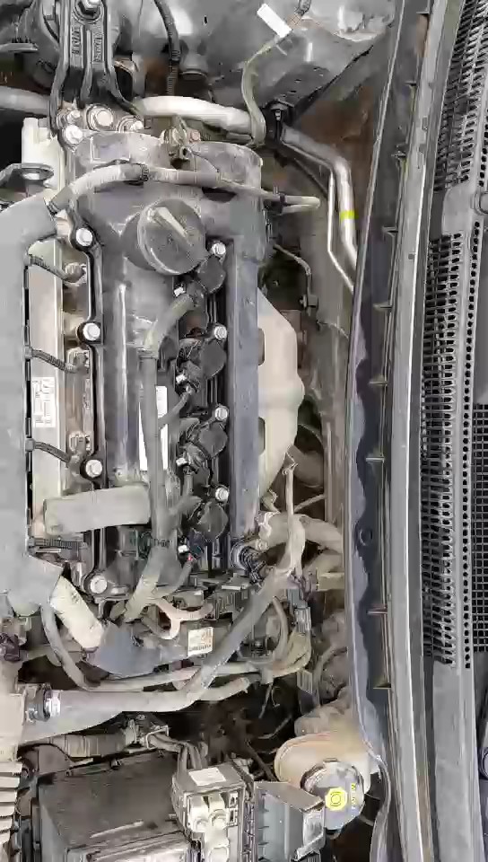 KIA Pegas GL 2024 video