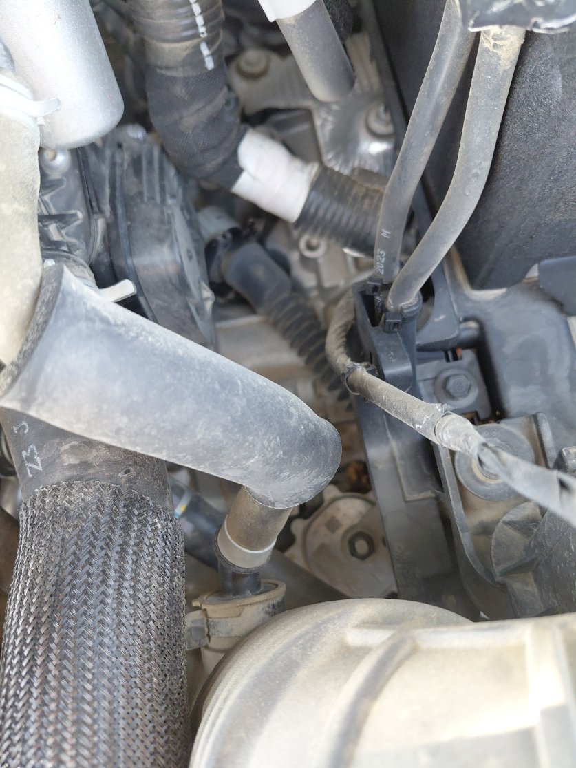 Hyundai Elantra SMART 2024 image