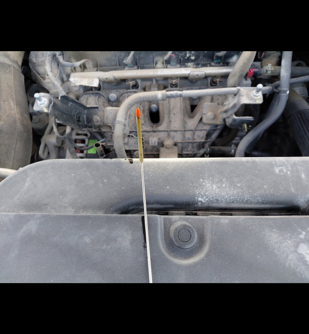 Haval Jolion  SPORT  اساسي 2024 image