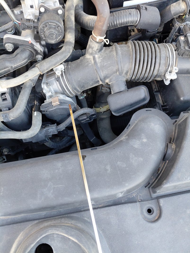 Toyota Corolla XLI EXE  2021 image