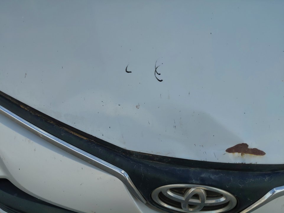 Toyota Corolla XLI EXE  2021 image