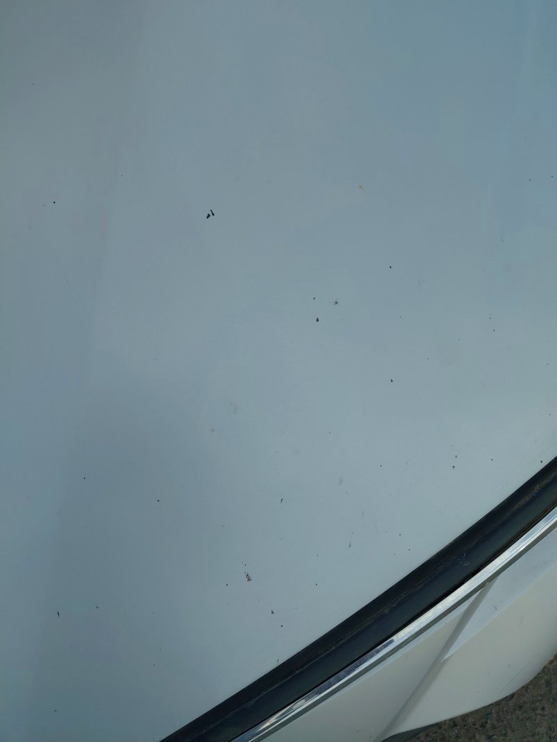 Toyota Corolla XLI EXE  2021 image