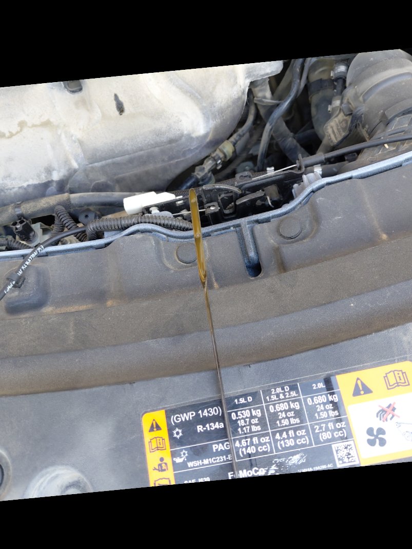 Ford Escape S SPORT - AWD 2019 image