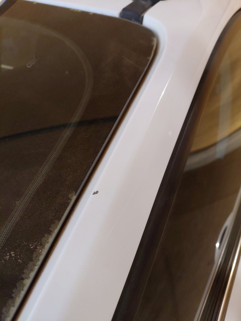 Ford Escape S SPORT - AWD 2019 image