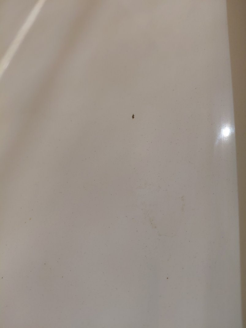 Ford Escape S SPORT - AWD 2019 image