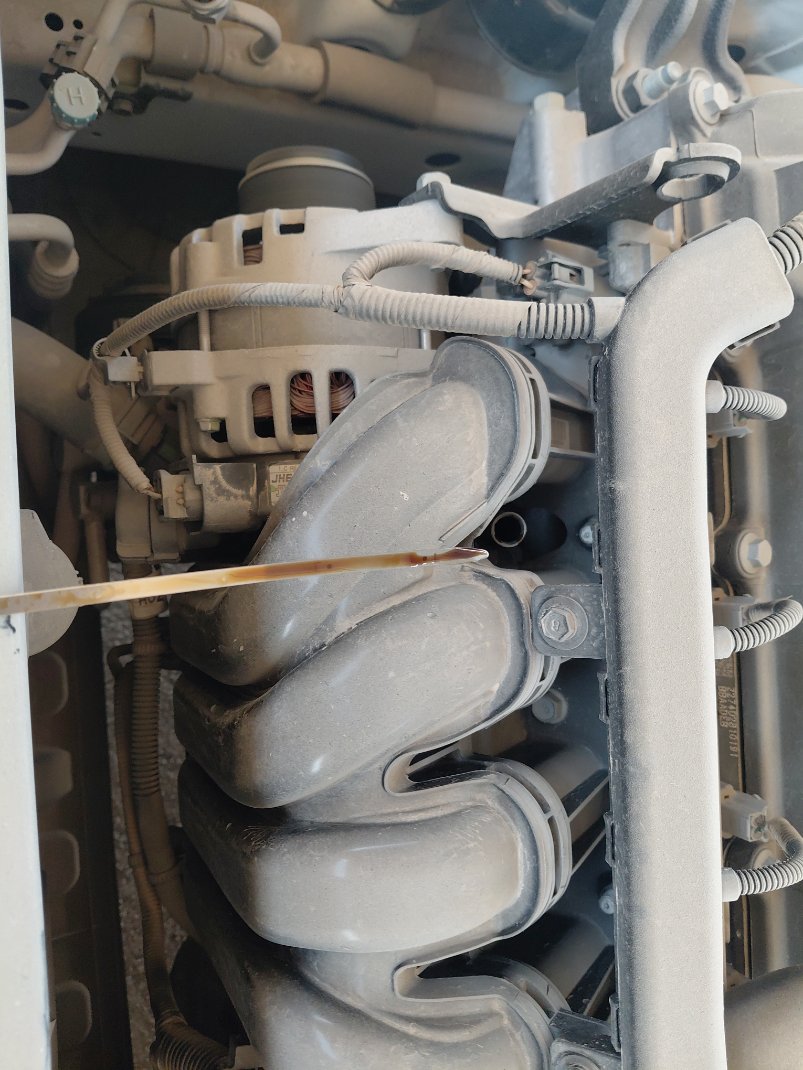 KIA Pegas L 2024 image