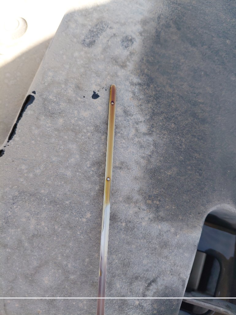 Toyota Yaris  Y FLT 2022 image