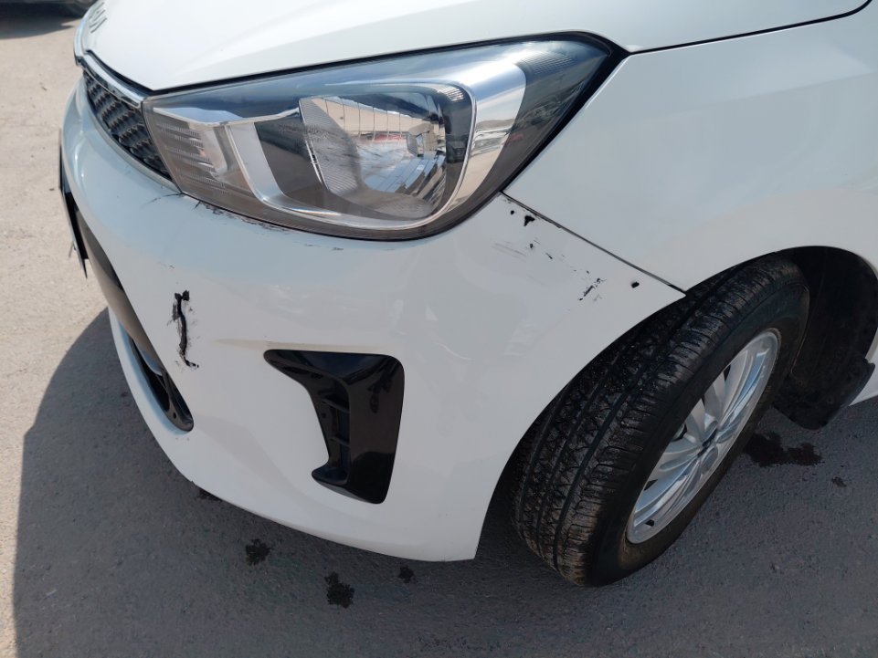 KIA Pegas L 2024 image