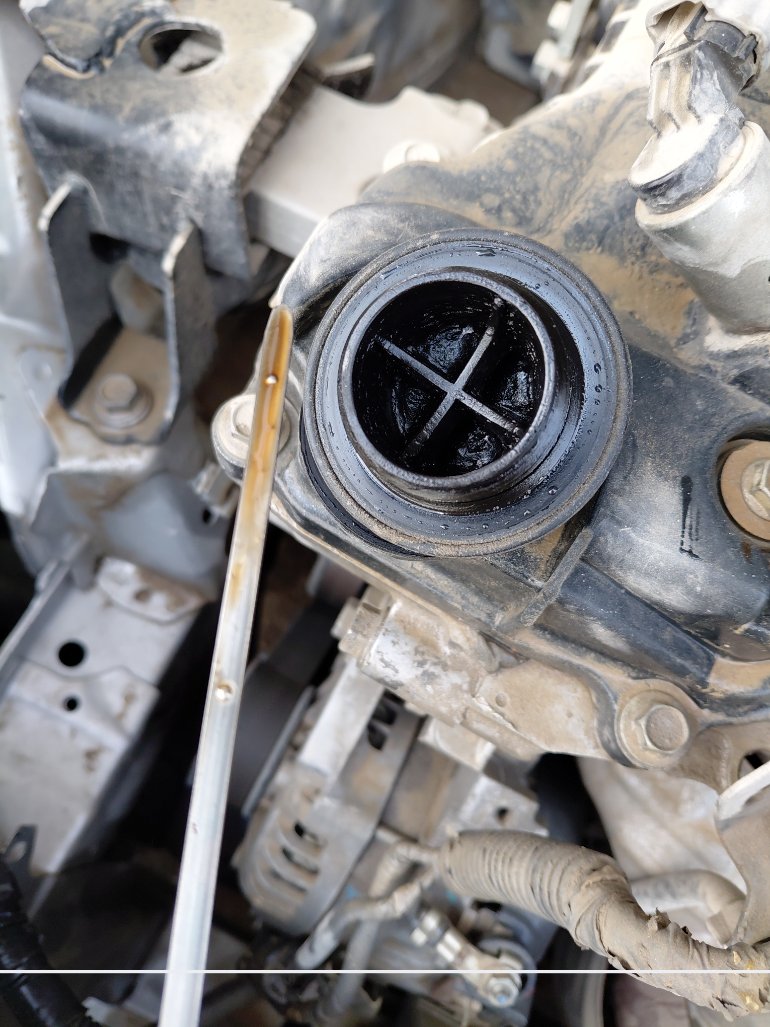 Toyota Yaris  Y 2021 image