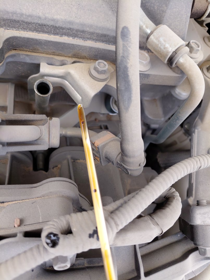 Toyota Corolla XLI EXE 2024 image