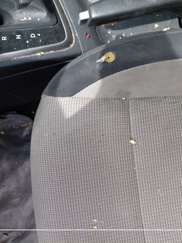 Hyundai Accent GL 2020 image