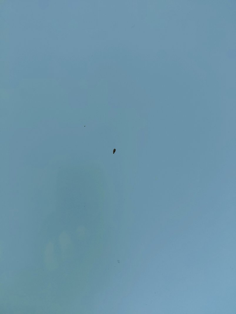 Toyota Yaris Y PLUS 2022 image