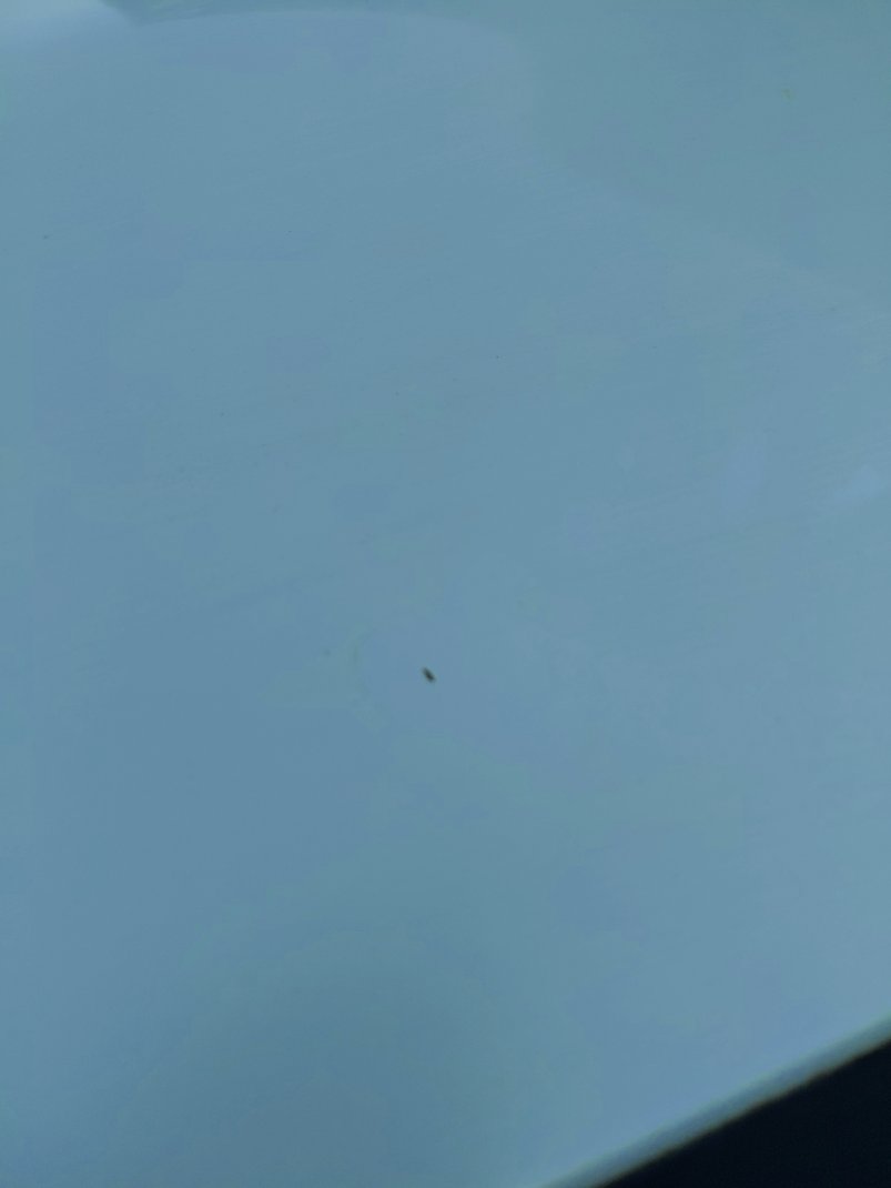 Toyota Yaris Y PLUS 2022 image