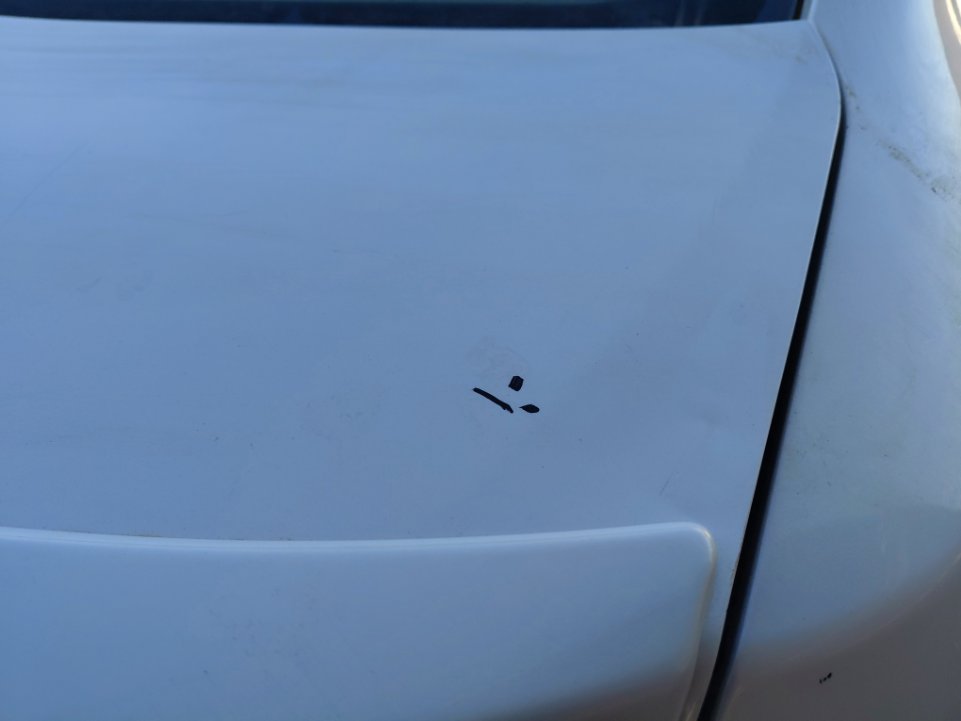 Toyota Yaris Y PLUS 2022 image