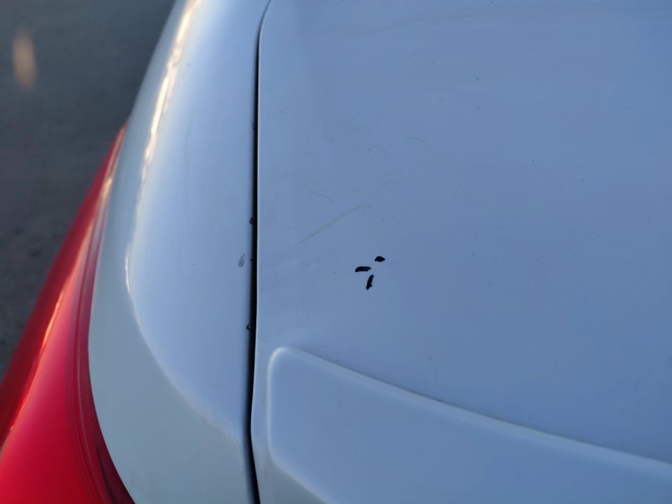 Toyota Yaris Y PLUS 2022 image