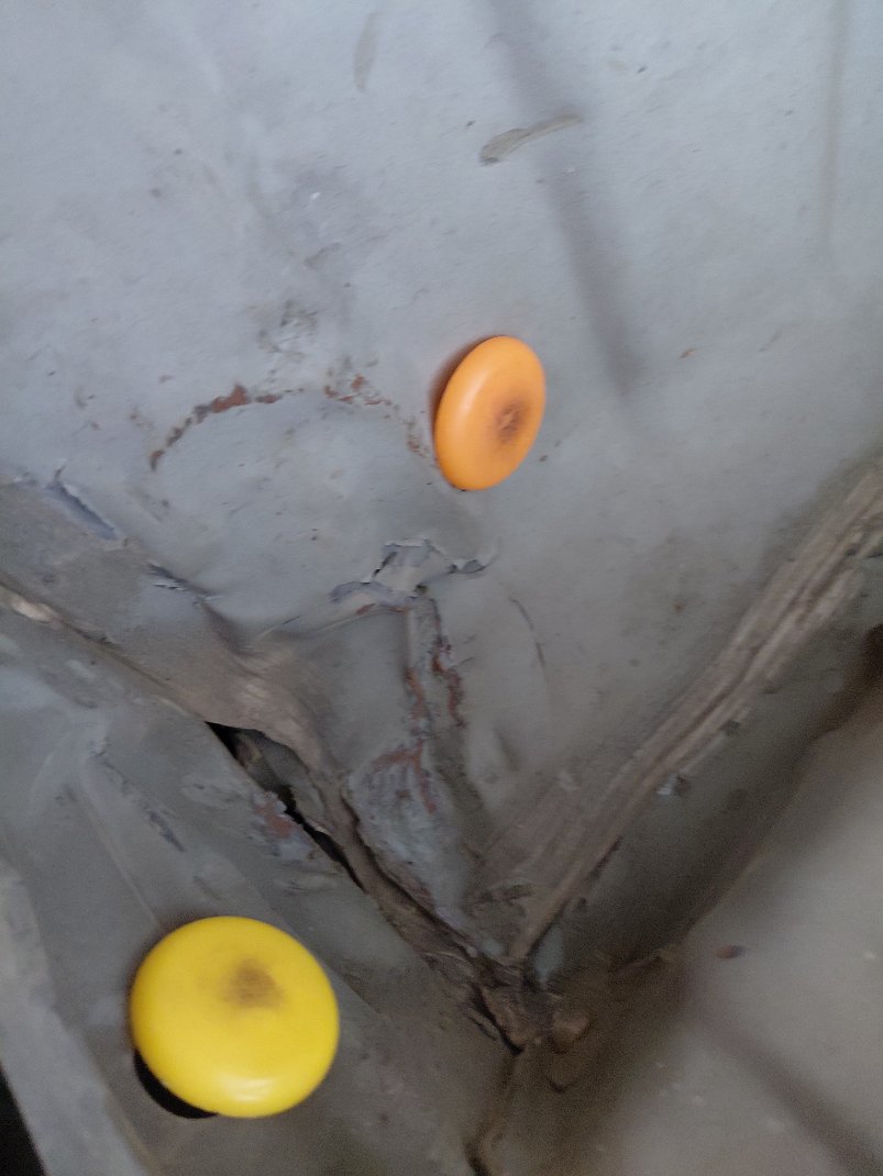 Toyota Yaris Y PLUS 2022 image